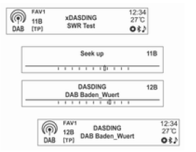 DAB grubunu arama (sadece Tip 1/2-A modeli için)