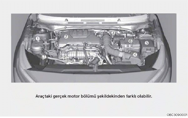 Motor bölümü