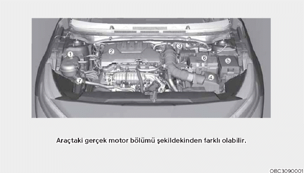 Motor bölümü